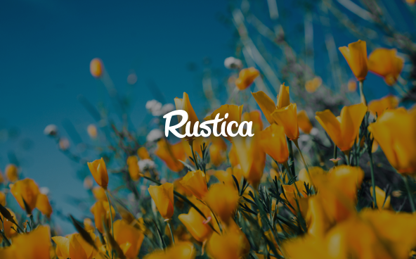 Mailjet-Case-Study-Rustica